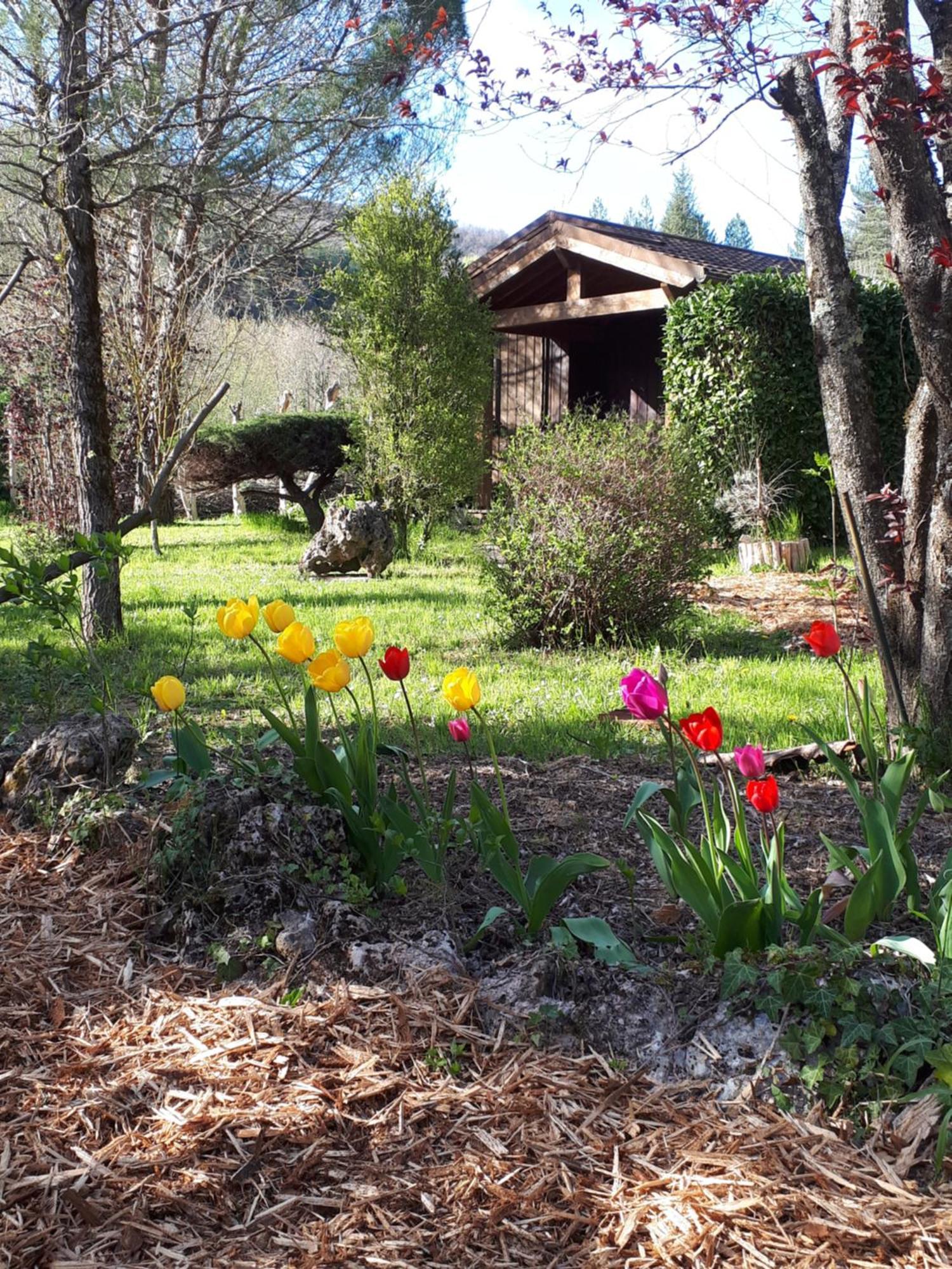 Les Chalets Du Roc Alzon Exteriér fotografie